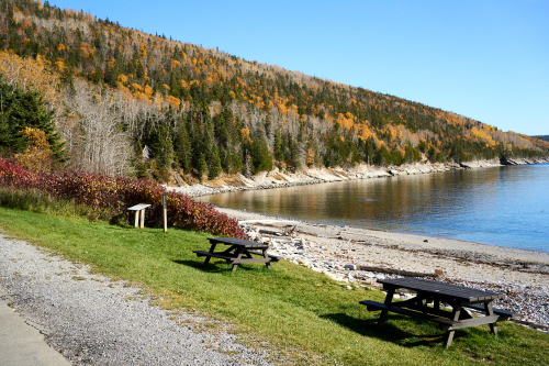 Eau,Plage,Petit-Gaspé,Milieu naturel,Forêt,Parc Forillon,Saison,Automne,Parc provincial,Jour,Temps